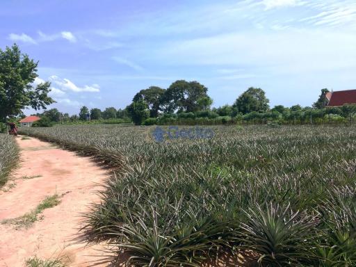 Land available in East Pattaya L010118