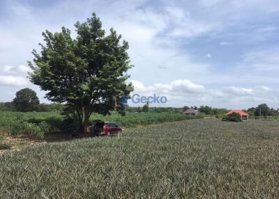 Land available in East Pattaya L010118