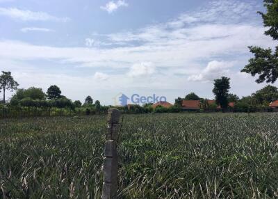 Land available in East Pattaya L010118