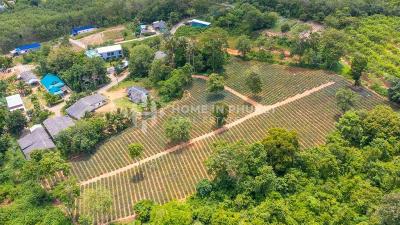 Over 7 Rai Land Plot in Mai Khao