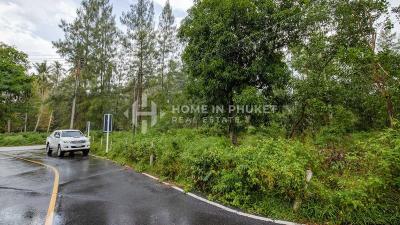 3 Rai Land Near Mai Khao Beach