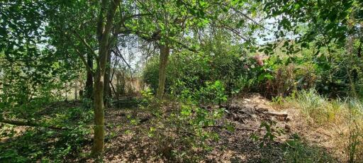 Beautiful 1.5 Rai Land for Sale