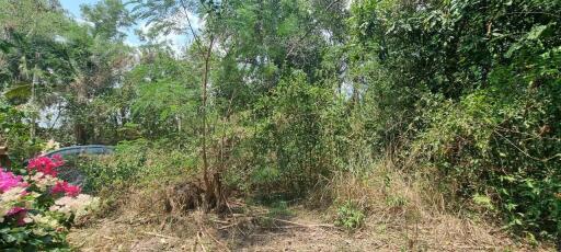 Beautiful 1.5 Rai Land for Sale