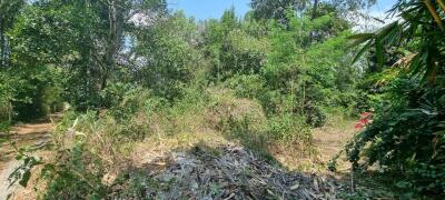 Beautiful 1.5 Rai Land for Sale