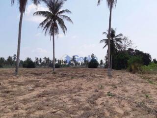 Land available in Huay Yai L009136