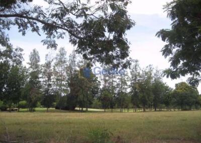 Land available in Huay Yai L009134