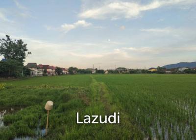 Land for sale near Central Chiang Rai, near HomePro and Chiang Rai Airport 31 rai 3 ngan 17 square wa ( 50,868 square meters