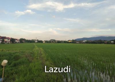 Land for sale near Central Chiang Rai, near HomePro and Chiang Rai Airport 31 rai 3 ngan 17 square wa ( 50,868 square meters