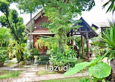 CB35 Guest House/Restaurant for sale/rent on 1 Rai of Land, Ropwiang, Chiangrai.