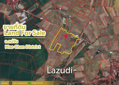 Nice Land with Rice Field for Sale