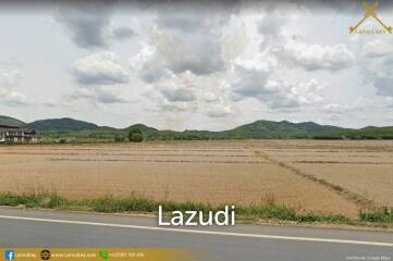 Nice Land with Rice Field for Sale