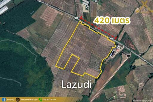 Nice Land with Rice Field for Sale