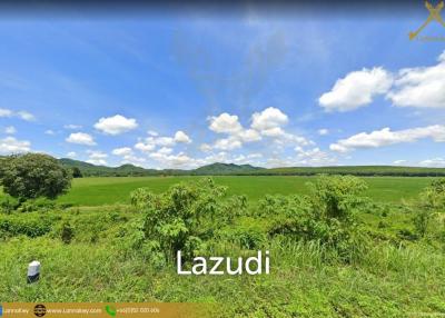 Nice Land with Rice Field for Sale