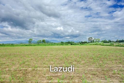 LB11 Large piece of land for sale on the new highway MFL – Chiangsaen Chiangrai.