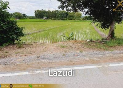 Land with Beautiful Rice Fields and Nice View for Sale