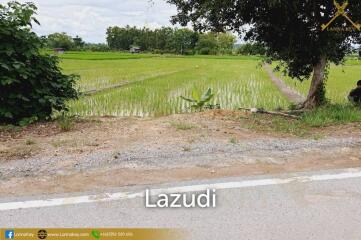 Land with Beautiful Rice Fields and Nice View for Sale