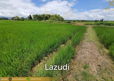 Land with Beautiful Rice Fields and Nice View for Sale