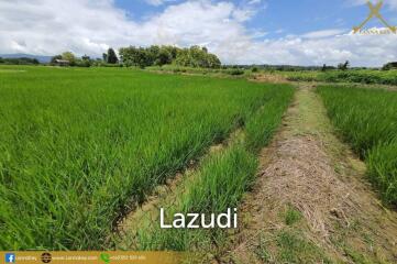 Land with Beautiful Rice Fields and Nice View for Sale