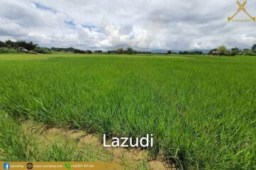 Land with Beautiful Rice Fields and Nice View for Sale