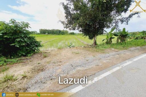 Land with Beautiful Rice Fields and Nice View for Sale