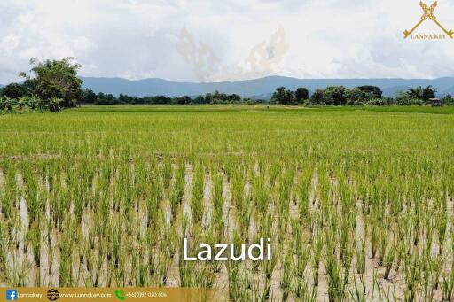 Land with Beautiful Rice Fields and Nice View for Sale