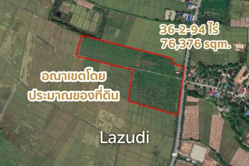 Good Location Land and Close To The Road