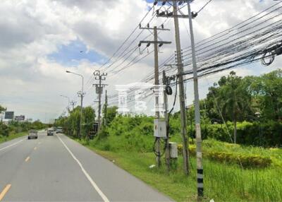A road adjacent to greenery and power lines