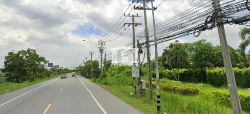 A road adjacent to greenery and power lines