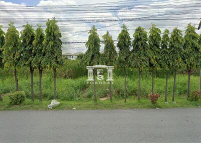 View of front yard with trees and greenery