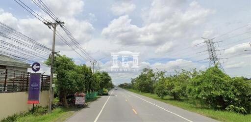 Road with greenery on both sides and electric poles