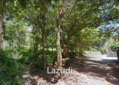 6 Rai Land for Sale with teak trees in Chiang Saen