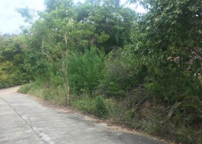 Sea View Land Plot For Sale - Bo Phut - Koh Samui - Suratthani