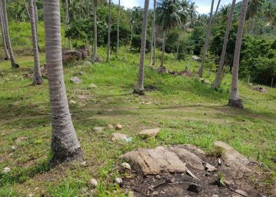 Sea view land plot for sale - Chaweng - Koh Samui - Suratthani