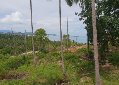 Sea view land plot for sale - Chaweng - Koh Samui - Suratthani