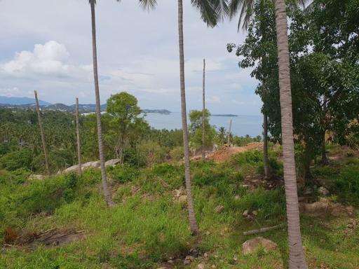 Sea view land plot for sale - Chaweng - Koh Samui - Suratthani