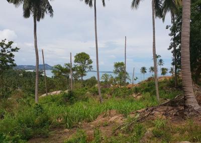Sea view land plot for sale - Chaweng - Koh Samui - Suratthani