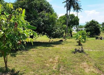 Land plot for sale – Sea view – Choeng Mon – Koh Samui – Suratthani