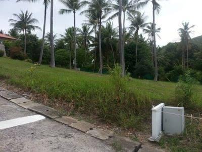 Beautiful Sea view Land For Sale – Bang Rak – Koh Samui – Suratthani