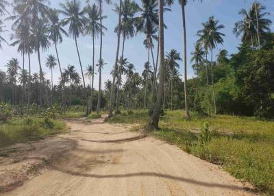 Flat Land For Sale – Mae Nam – Koh Samui – Suratthani