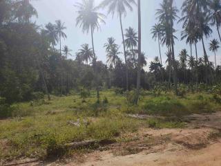 Flat Land For Sale – Mae Nam – Koh Samui – Suratthani
