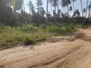 Flat Land For Sale – Mae Nam – Koh Samui – Suratthani