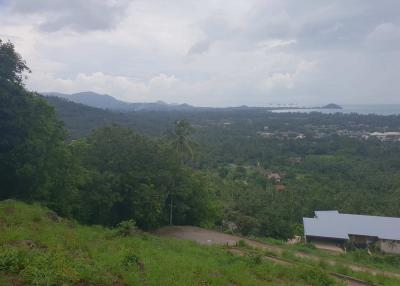 Land For Sale -Sea View - Lipa Noi - Koh Samui - Suratthani