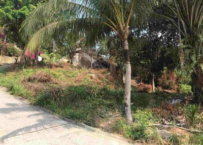 Land for sale  - Sea view - Lamai - Koh Samui