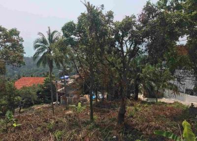 Land for sale  - Sea view - Lamai - Koh Samui