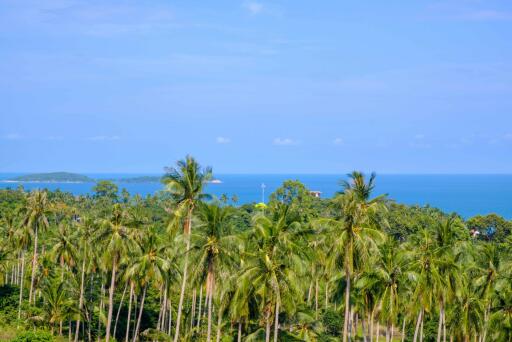 Modern Sea View Guesthouse/ Hotel with 6 rooms in Chaweng Noi