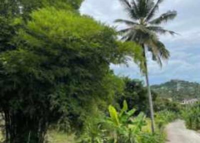 LAND FOR SALE – PLAI LAEM – KOH SAMUI – SURAT THANI – THAILAND