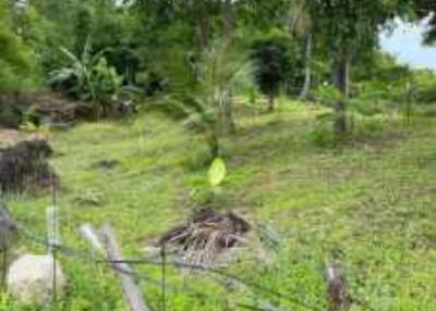 LAND FOR SALE – PLAI LAEM – KOH SAMUI – SURAT THANI – THAILAND