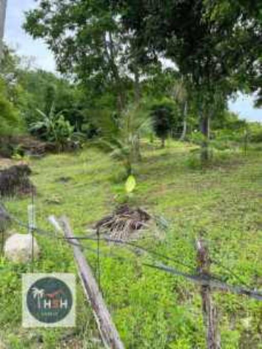 LAND FOR SALE – PLAI LAEM – KOH SAMUI – SURAT THANI – THAILAND