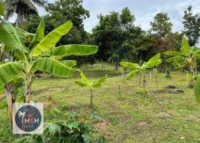 LAND FOR SALE – PLAI LAEM – KOH SAMUI – SURAT THANI – THAILAND