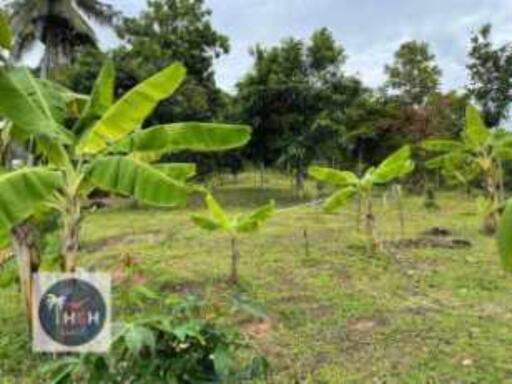 LAND FOR SALE – PLAI LAEM – KOH SAMUI – SURAT THANI – THAILAND